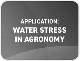 Water Stress in Agronomy